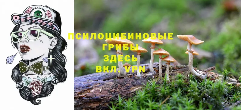 Псилоцибиновые грибы Magic Shrooms  Борзя 